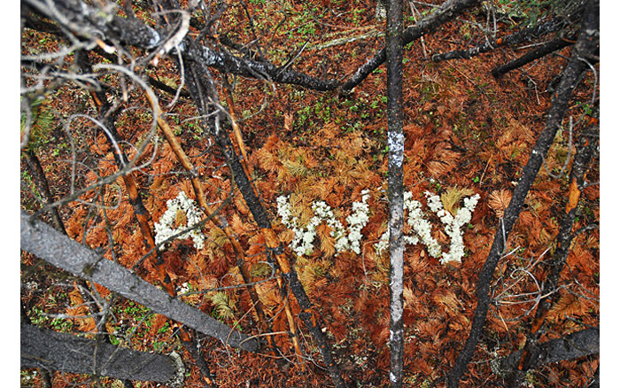 Away, A Way | Text, 2009